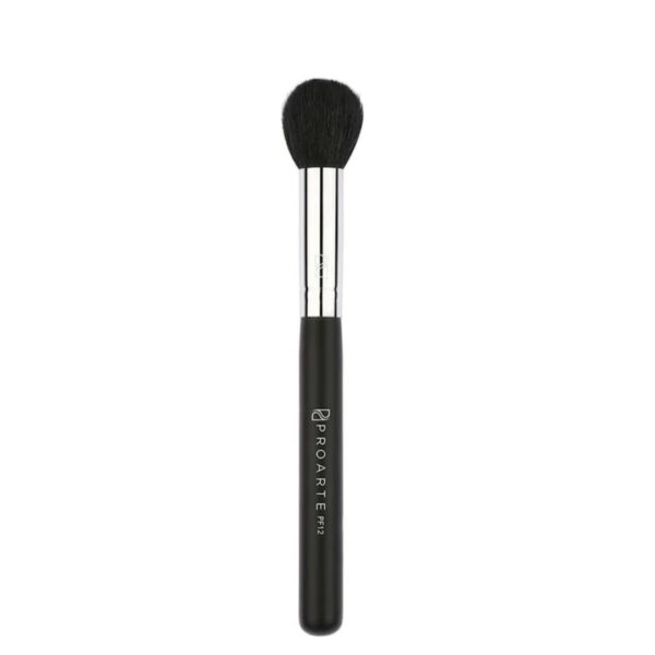 Proarte Pf12 Focused Blush Brush