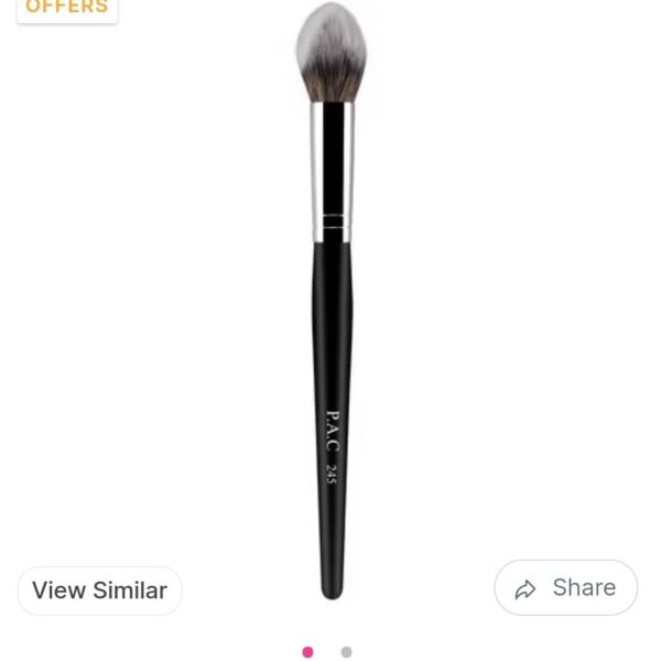 Pac Powder Brush 245