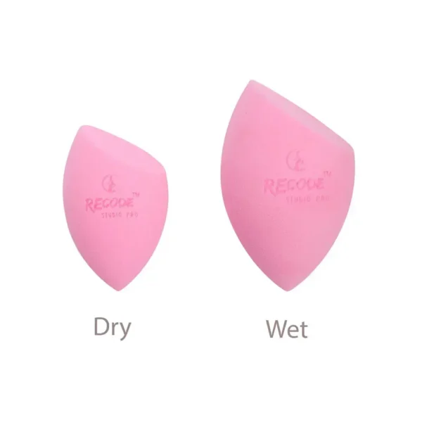 Recode Beauty Sponge Recode